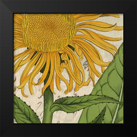 Joyful Bloom I Black Modern Wood Framed Art Print by Berg, Sabine