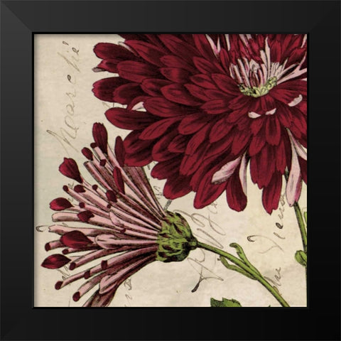 Joyful Bloom II Black Modern Wood Framed Art Print by Berg, Sabine