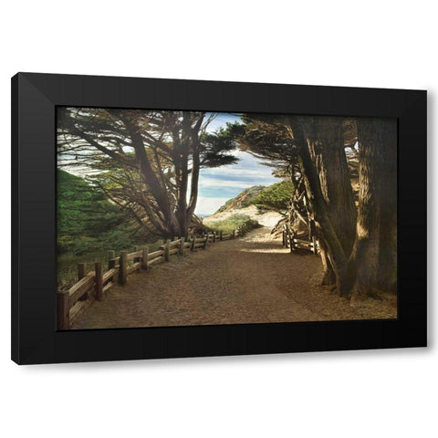 Big Sur Black Modern Wood Framed Art Print with Double Matting by Cahill, Michael