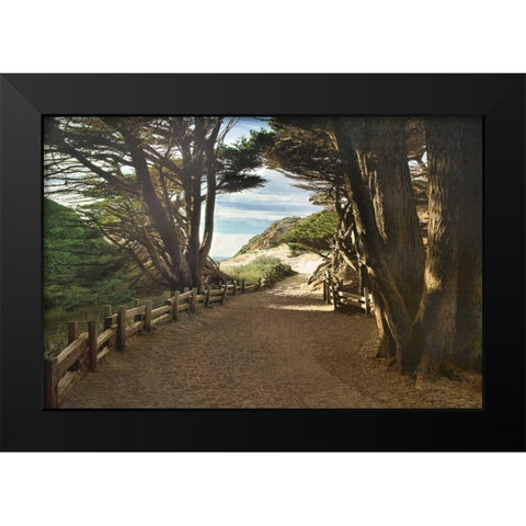 Big Sur Black Modern Wood Framed Art Print by Cahill, Michael