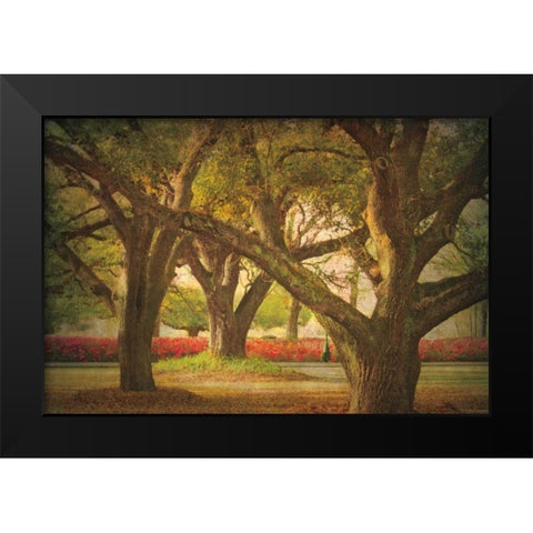 Three Oaks and Azaleas Black Modern Wood Framed Art Print by Guion, William
