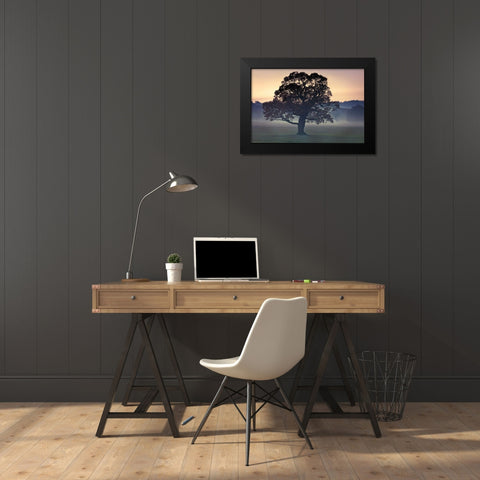 Evening Wisdom Black Modern Wood Framed Art Print by Frank, Assaf