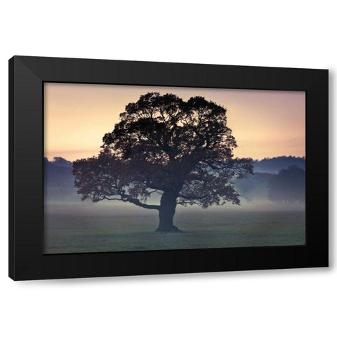 Evening Wisdom Black Modern Wood Framed Art Print by Frank, Assaf