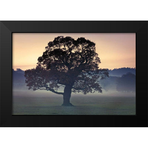 Evening Wisdom Black Modern Wood Framed Art Print by Frank, Assaf