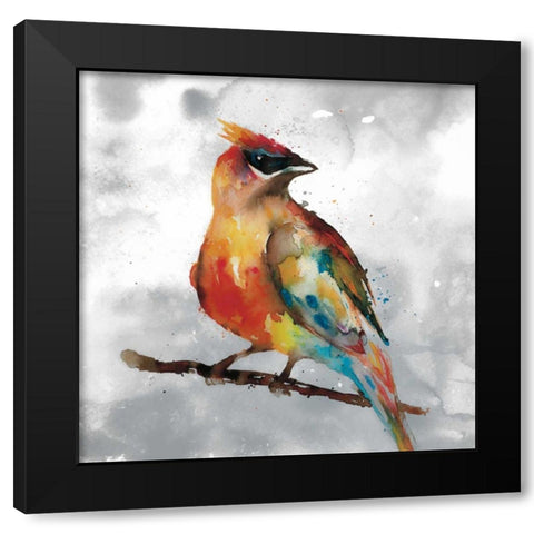 Cardinal Black Modern Wood Framed Art Print by Fontaine, Stephanie
