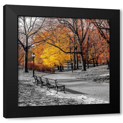 Park Pretty I Black Modern Wood Framed Art Print by Frank, Assaf
