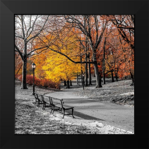 Park Pretty I Black Modern Wood Framed Art Print by Frank, Assaf