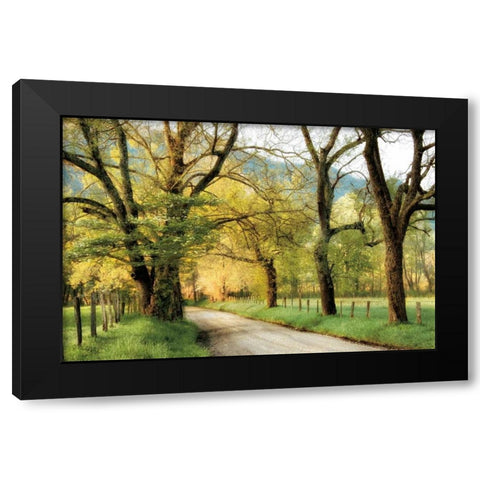 Warm Morning Light Black Modern Wood Framed Art Print with Double Matting by Burt, D.