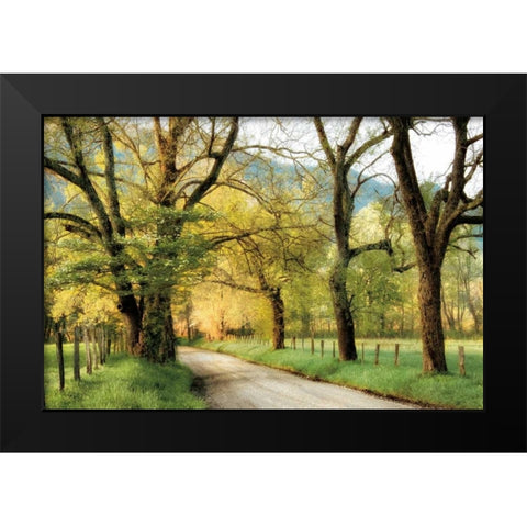 Warm Morning Light Black Modern Wood Framed Art Print by Burt, D.