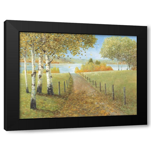 Rural Route I Black Modern Wood Framed Art Print by Fisk, Arnie