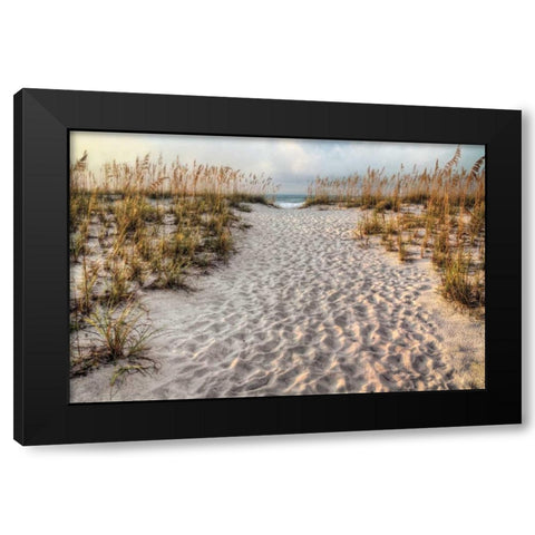 Path to the Beach Black Modern Wood Framed Art Print by Cahill, Michael