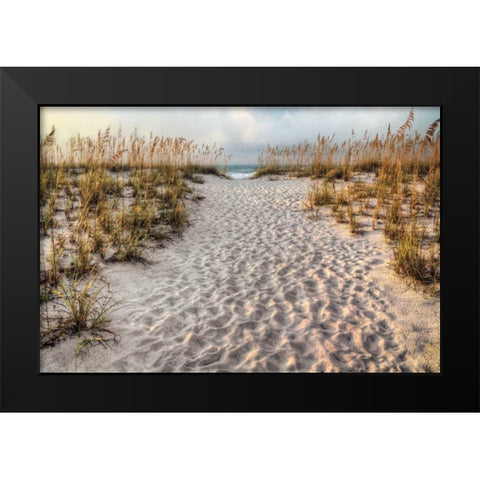 Path to the Beach Black Modern Wood Framed Art Print by Cahill, Michael