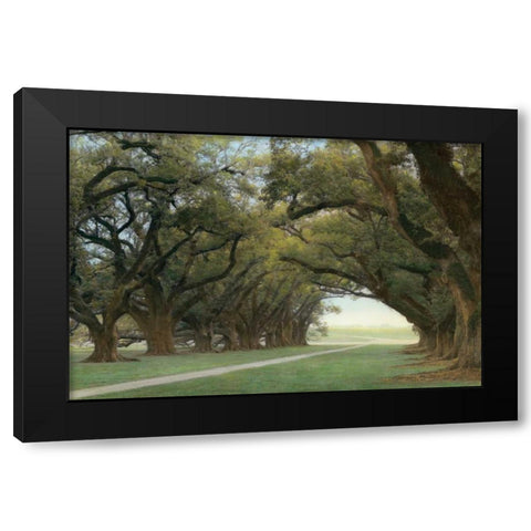 Alley of the Oaks Black Modern Wood Framed Art Print by Guion, William