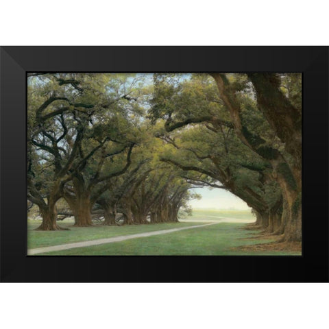 Alley of the Oaks Black Modern Wood Framed Art Print by Guion, William