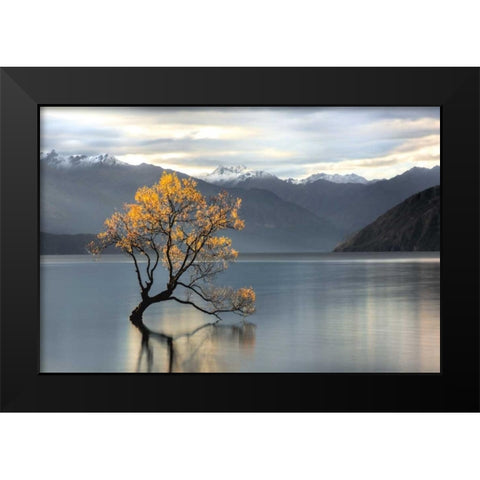 Undisturbed Black Modern Wood Framed Art Print by Michael Cahill