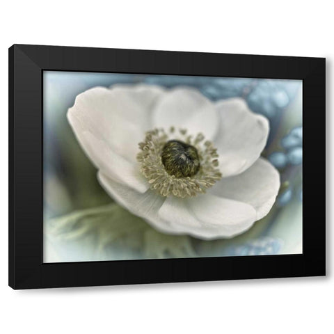 Inspired Black Modern Wood Framed Art Print with Double Matting by Frank, Assaf