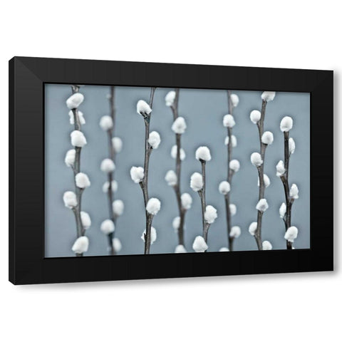 Protected Black Modern Wood Framed Art Print with Double Matting by Frank, Assaf