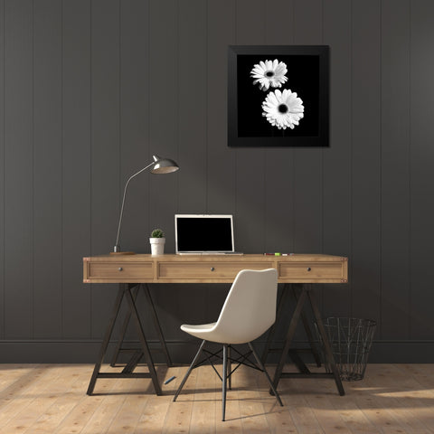 Gerbera Portrait I Black Modern Wood Framed Art Print by Maihara, Jeff