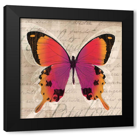 Butterflies III Black Modern Wood Framed Art Print with Double Matting by Venter, Tandi