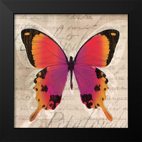 Butterflies III Black Modern Wood Framed Art Print by Venter, Tandi