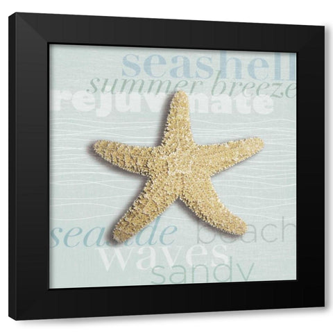 Beach Collection II Black Modern Wood Framed Art Print with Double Matting by Venter, Tandi