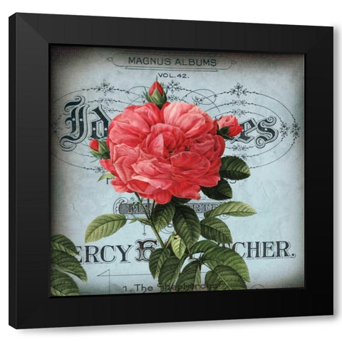 Petite Rose I Black Modern Wood Framed Art Print with Double Matting by Berg, Sabine