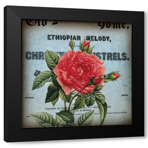 Petite Rose II Black Modern Wood Framed Art Print by Berg, Sabine