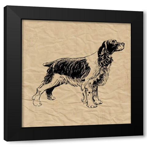 Spaniel Black Modern Wood Framed Art Print by Berg, Sabine
