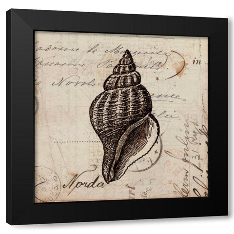 Ocean Collection I Black Modern Wood Framed Art Print with Double Matting by Berg, Sabine