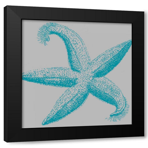 Sea Stars I Black Modern Wood Framed Art Print with Double Matting by Berg, Sabine