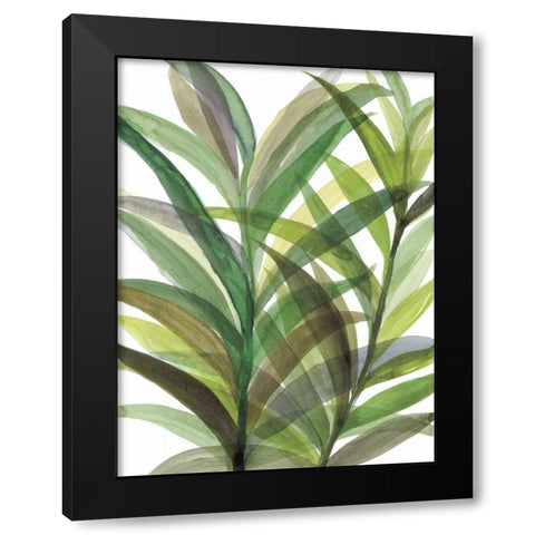 Tropical Greens II Black Modern Wood Framed Art Print by Meyers, Rebecca