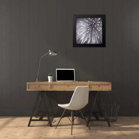 Natural Designs II Black Modern Wood Framed Art Print by Frank, Assaf