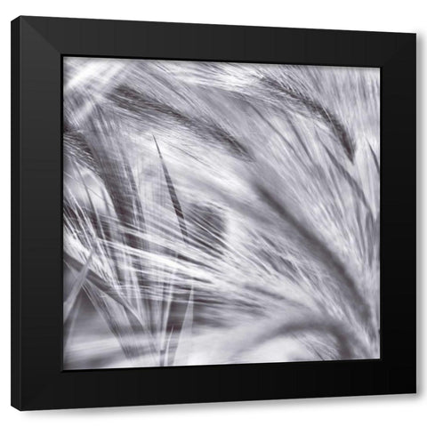 Natural Designs IV Black Modern Wood Framed Art Print with Double Matting by Frank, Assaf