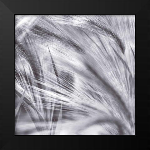 Natural Designs IV Black Modern Wood Framed Art Print by Frank, Assaf