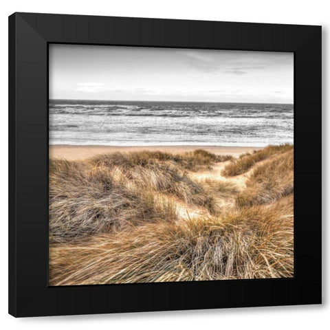 Beach Dunes Black Modern Wood Framed Art Print with Double Matting by Frank, Assaf