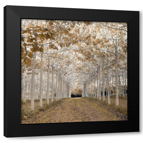 White Gold Black Modern Wood Framed Art Print with Double Matting by Frank, Assaf