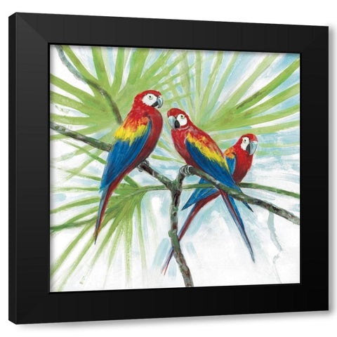 Parrots Black Modern Wood Framed Art Print with Double Matting by Fisk, Arnie