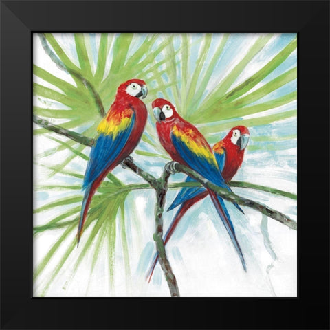 Parrots Black Modern Wood Framed Art Print by Fisk, Arnie