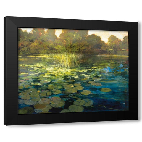 Waterlilies Black Modern Wood Framed Art Print with Double Matting by Craig, Philip