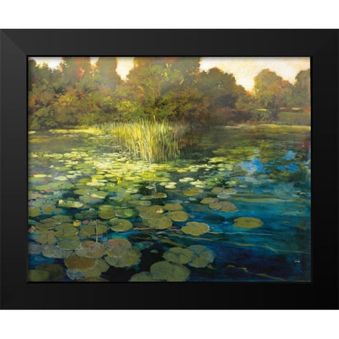 Waterlilies Black Modern Wood Framed Art Print by Craig, Philip