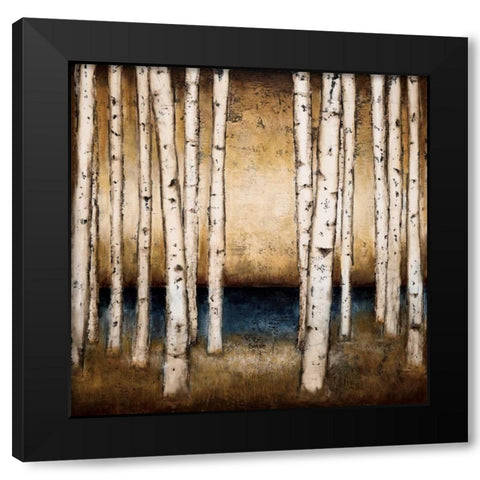 Birch Landing Black Modern Wood Framed Art Print by St.Germain, Patrick