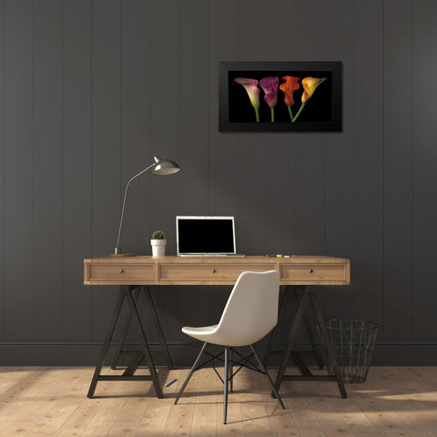 Jewel Calla Lilies Black Modern Wood Framed Art Print by Frank, Assaf