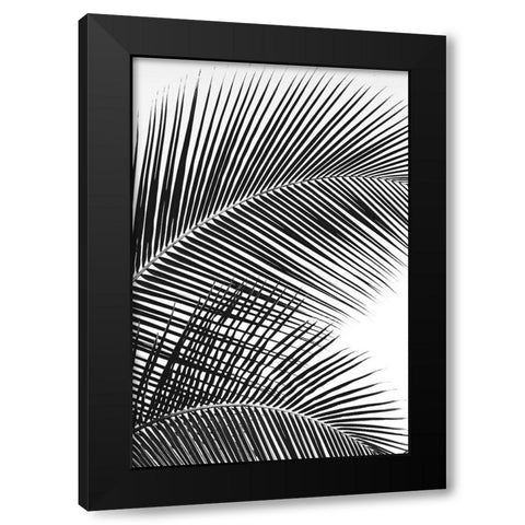 Tropical Fan Black Modern Wood Framed Art Print with Double Matting by Frates, Dennis