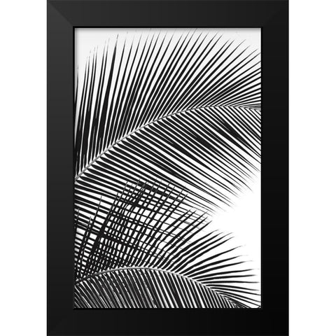 Tropical Fan Black Modern Wood Framed Art Print by Frates, Dennis