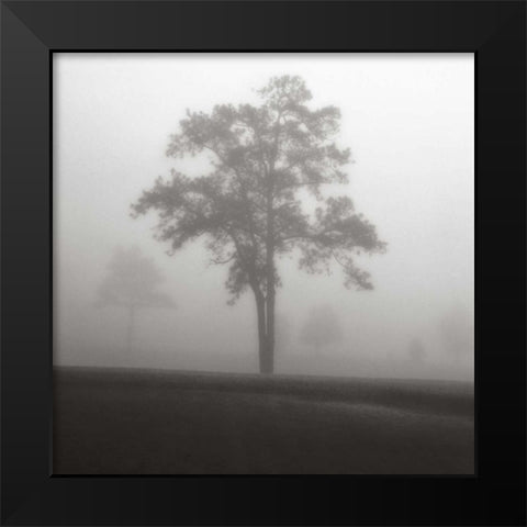 Fog Tree Study I Black Modern Wood Framed Art Print by Cook, Jamie