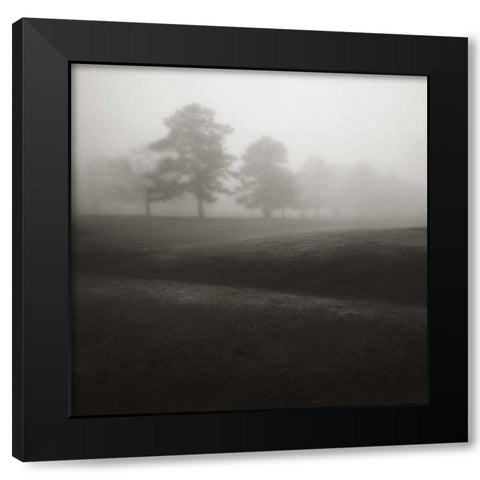 Fog Tree Study II Black Modern Wood Framed Art Print with Double Matting by Cook, Jamie