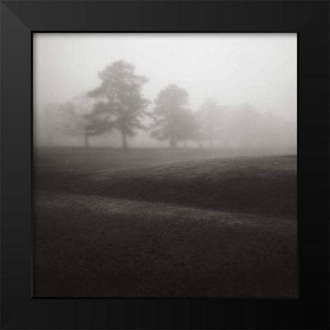 Fog Tree Study II Black Modern Wood Framed Art Print by Cook, Jamie
