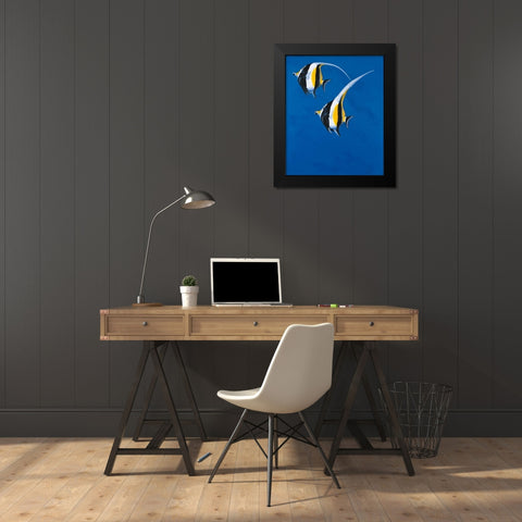Moorish Idols - Blue Black Modern Wood Framed Art Print by Siddle, Keith