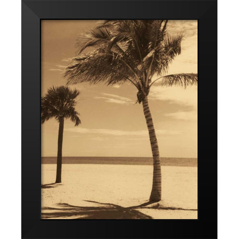 Palm Beach I Black Modern Wood Framed Art Print by Kelly, Dennis
