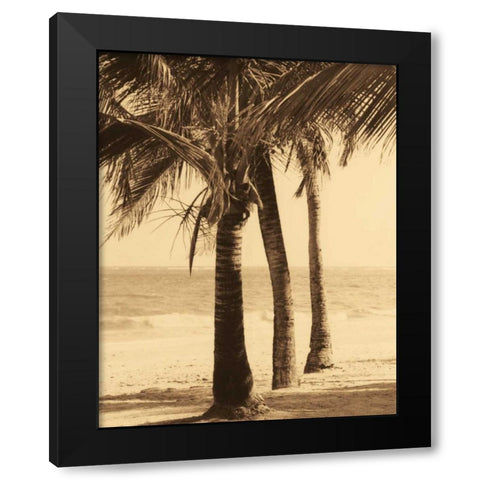 Palm Beach II Black Modern Wood Framed Art Print by Kelly, Dennis